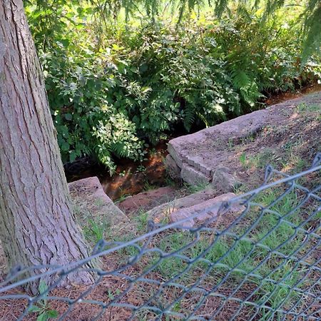 Ferienwohnung In Der Gruenheck Erlenbach  Exteriör bild