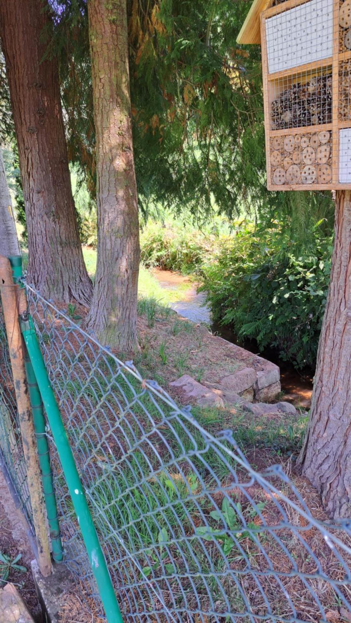 Ferienwohnung In Der Gruenheck Erlenbach  Exteriör bild